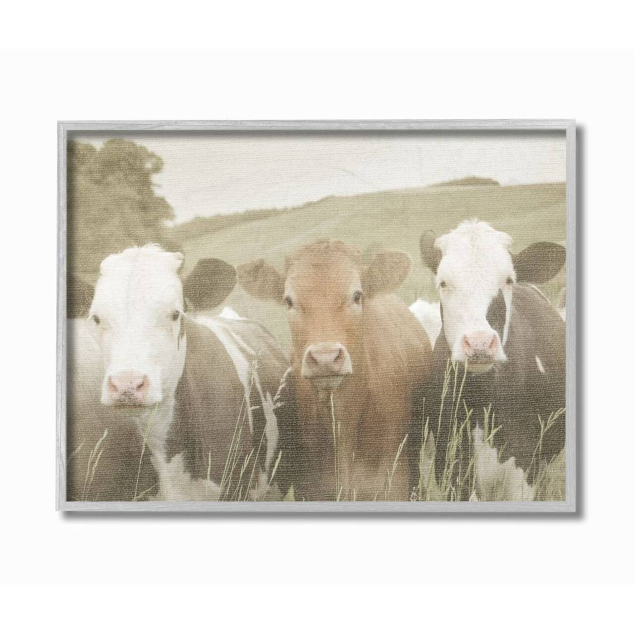 Stupell Industries Cows in the Field with Gray Frame Wall Accent